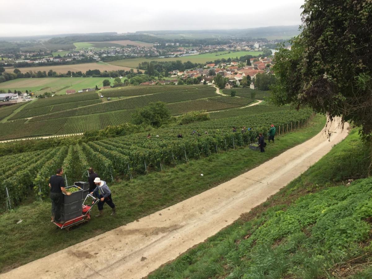 Villa L'Insouciance En Champagne Vincelles  ภายนอก รูปภาพ