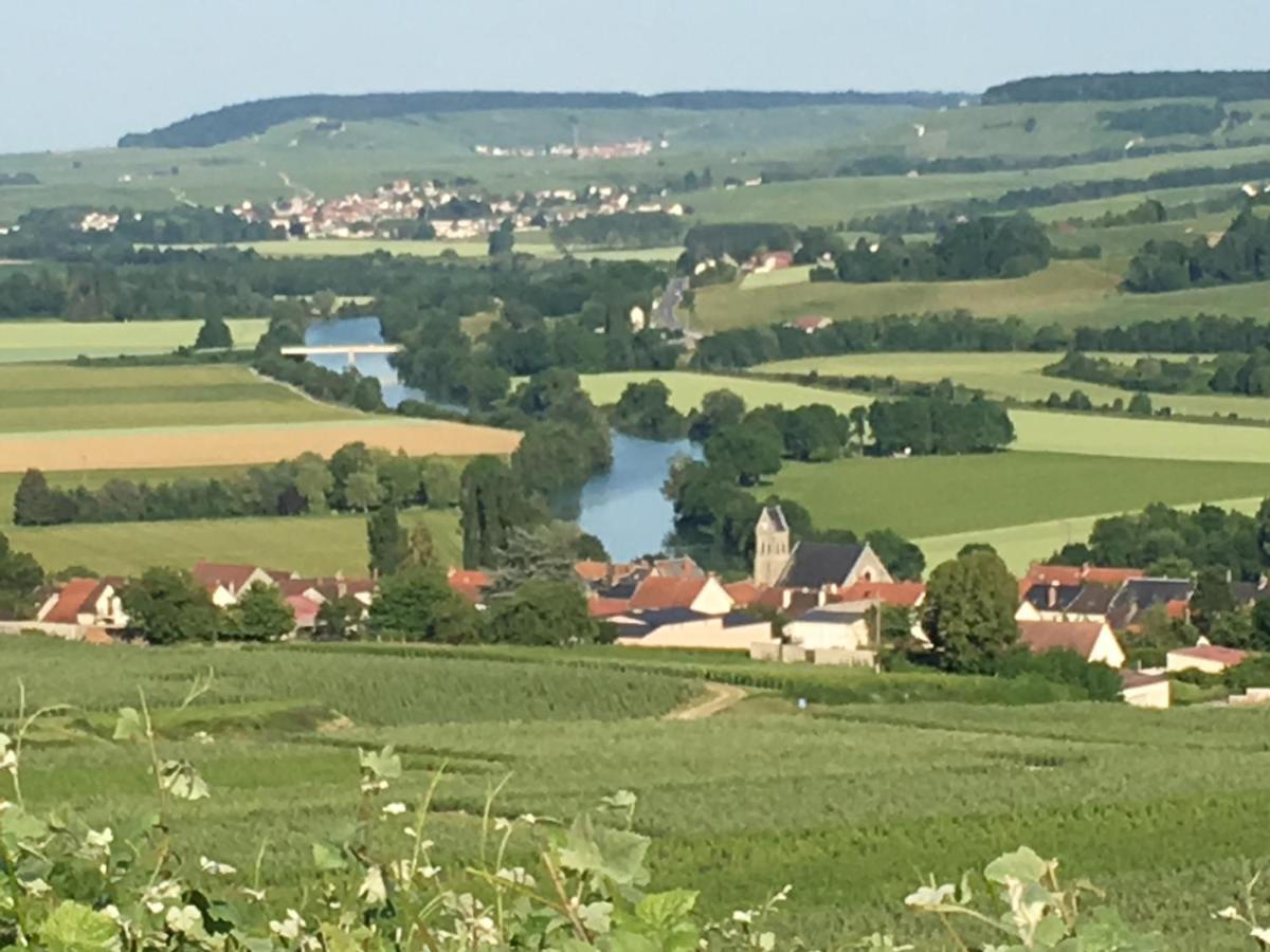 Villa L'Insouciance En Champagne Vincelles  ภายนอก รูปภาพ